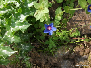 zzena-07-04-2013 08-53-49